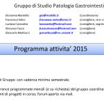 2015 programma